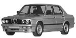 BMW E28 P253B Fault Code